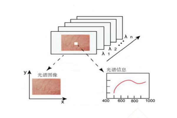 高光譜數(shù)據(jù)特征波長的提取及建模方法介紹